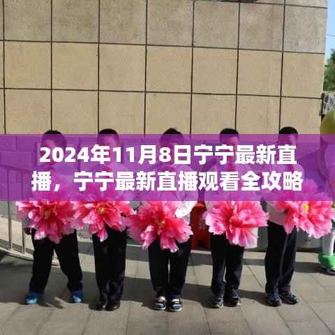 宁宁直播指南,2024年11月8日直播观看全攻略与入门指南