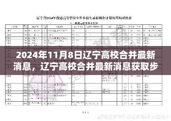 辽宁高校合并最新消息获取指南，初学者与进阶用户适用，2024年高校合并最新动态揭秘