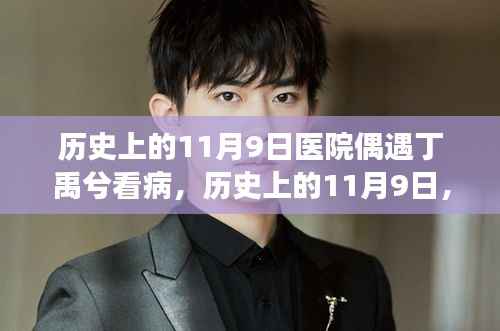 历史上的11月9日,偶遇丁禹兮就医事件全解读