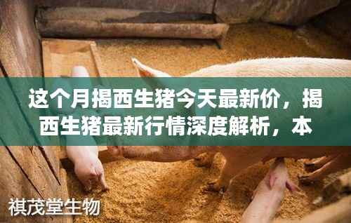 揭西生猪最新行情深度解析,本月市场动态、竞品对比及价格走势揭秘