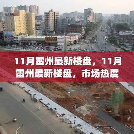 市场热度背后的深度解读与个人立场,11月雷州最新楼盘观察