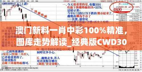 澳门新料一肖中彩100%精准,图库走势解读_经典版CWD305.61