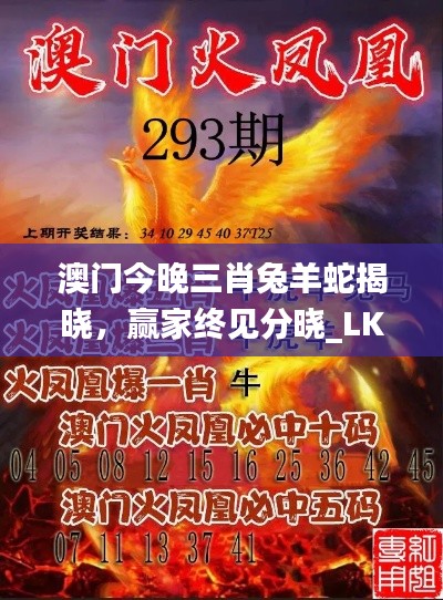 公司概况 第243页