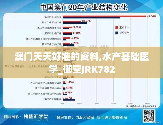 政策法规 第251页