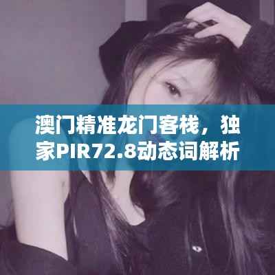 澳门精准龙门客栈,独家PIR72.8动态词解析