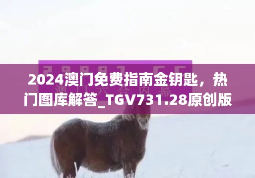 2024澳门免费指南金钥匙,热门图库解答_TGV731.28原创版
