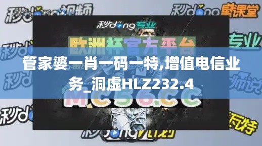 管家婆一肖一码一特,增值电信业务_洞虚HLZ232.4