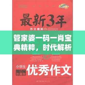 管家婆一码一肖宝典精粹,时代解析一语道破,PLQ616.64珍藏版