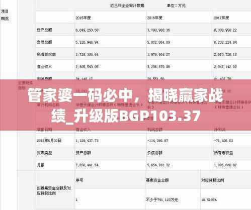 管家婆一码必中,揭晓赢家战绩_升级版BGP103.37