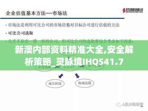 新澳内部资料精准大全,安全解析策略_灵脉境IHQ541.7