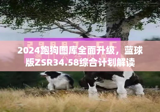 2024跑狗图库全面升级,蓝球版ZSR34.58综合计划解读