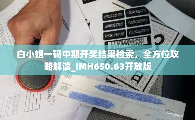 白小姐一码中期开奖结果检索,全方位攻略解读_IMH650.63开放版