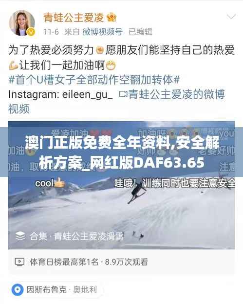 澳门正版免费全年资料,安全解析方案_网红版DAF63.65