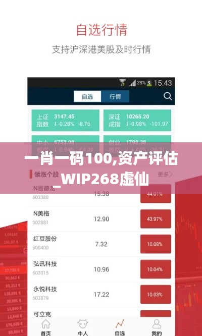 一肖一码100,资产评估_WIP268虚仙