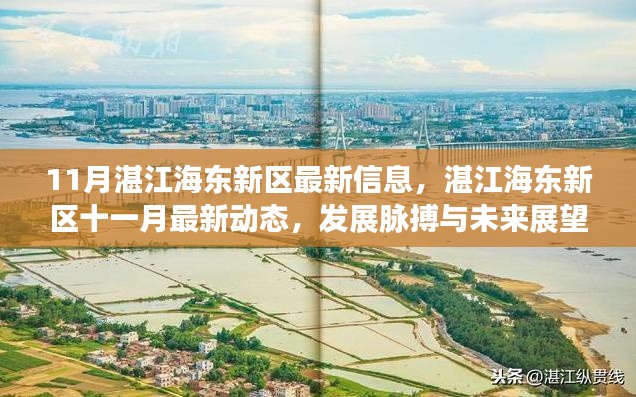 湛江海东新区十一月最新动态,发展脉搏、未来展望与最新信息速递