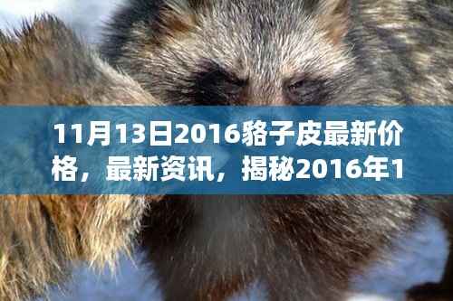 揭秘,2016年11月13日貉子皮市场最新行情及价格走势分析