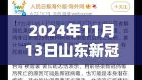 山东新冠疫情最新报告,多维视角下的深度分析(2024年11月13日)