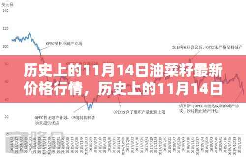 历史上的11月14日油菜籽价格行情解析及查询指南,最新行情与查询步骤全解析