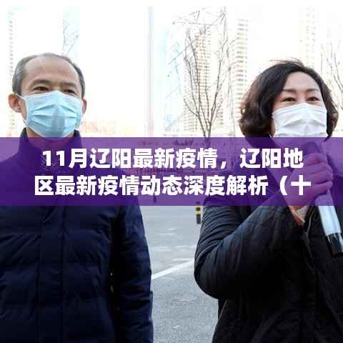 辽阳地区最新疫情动态深度解析,十一月疫情报告