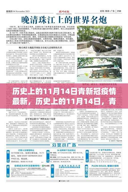 历史上的11月14日,青新冠疫情最新进展及其社会反响与观点碰撞