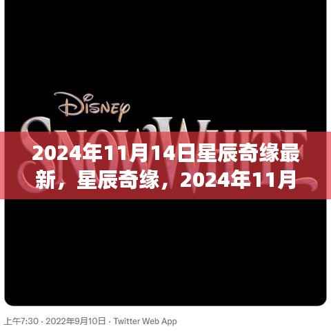 星辰奇缘梦幻邂逅,2024年11月14日星辰大海的最新揭秘