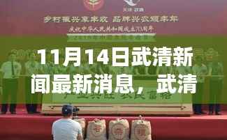 武清新闻最新消息,踏秋探寻自然秘境,心灵之旅启程