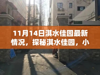 探秘淇水佳园,小巷深处的独特风情——最新探访报告(11月14日)
