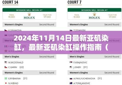 最新亚矶染缸操作指南，初学者与进阶用户适用指南（2024年11月版）