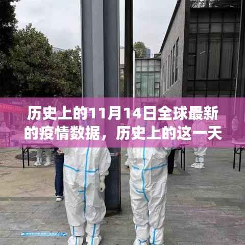 历史上的11月14日全球疫情深度剖析,全球疫情数据与小红书分享