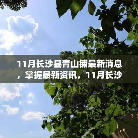 长沙县青山铺最新资讯与动态指南,掌握十一月最新消息