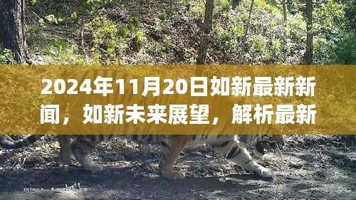 2024年如新最新新闻动态及未来展望，解析最新动态与观点分歧