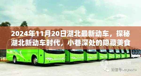 探秘湖北新动车时代,美食天堂与未来出行的交汇点(日期,2024年11月20日)