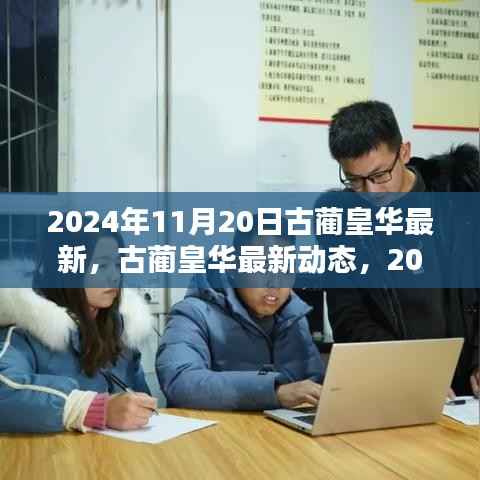 古蔺皇华最新动态深度解析,2024年11月20日报告