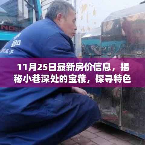 独家揭秘,小巷深处的宝藏与特色小店背后的故事——最新房价信息报道