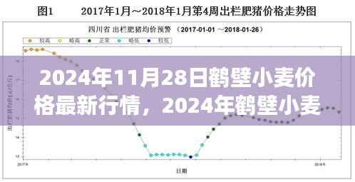 2024年鹤壁小麦价格最新行情及市场走势分析,影响因素探讨