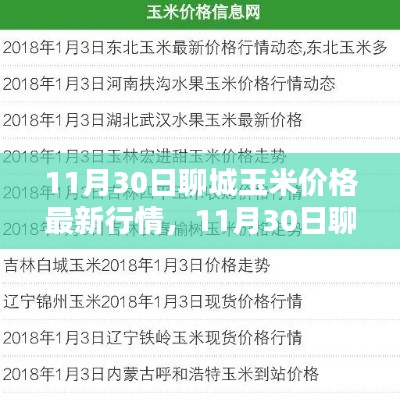 掌握聊城玉米最新行情,解析11月30日玉米价格动态及应对策略