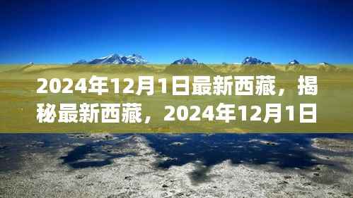 揭秘最新西藏,2024年西藏之旅的精彩瞬间(独家报道)