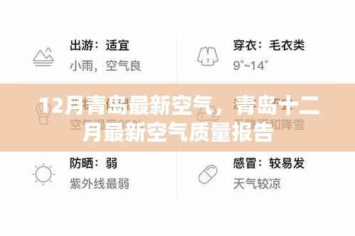 青岛十二月空气质量报告更新,最新空气质量解析