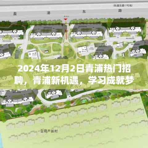 2024年12月2日青浦热门招聘启幕,新机遇助力学习成就梦想