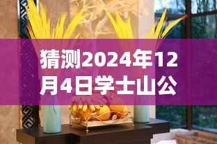 学士山公园新篇章揭秘,2024年12月4日的最新动态与温馨日常
