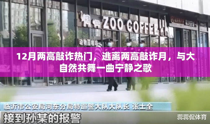 12月热门敲诈事件,逃离高压,与自然共舞宁静之歌