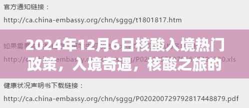 入境奇遇,核酸之旅的温馨篇章与入境政策解读