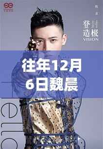 探秘魏晨盛事之下的隐秘角落,美食秘境与往年热门消息回顾 2017年篇