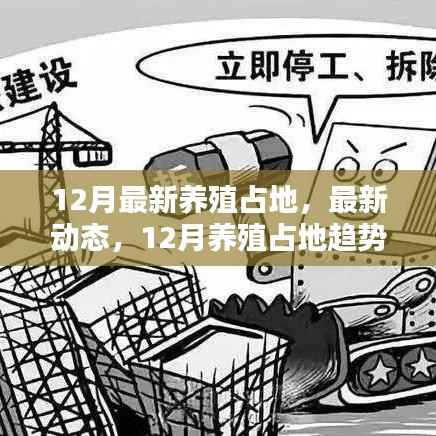 12月最新养殖占地动态及趋势分析