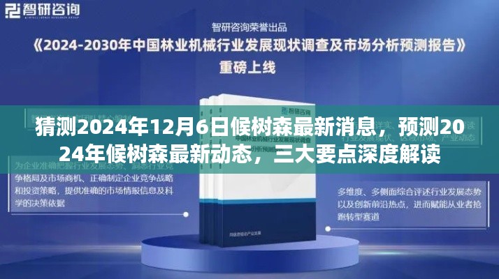 揭秘候树森最新动态,三大要点深度解读预测未来消息(2024年12月6日)