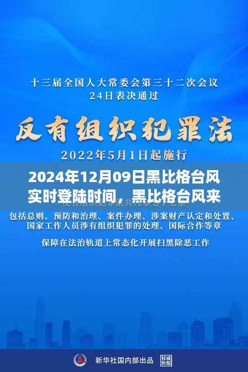 黑比格台风来袭,追寻心灵平静的台风日旅行纪实(实时登陆时间)