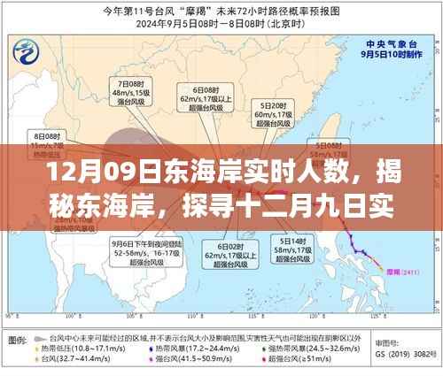 揭秘东海岸,十二月九日实时人数背后的故事
