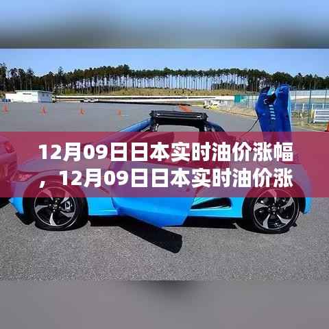 12月09日日本油价涨幅深度解析,实时油价动态及影响因素探讨