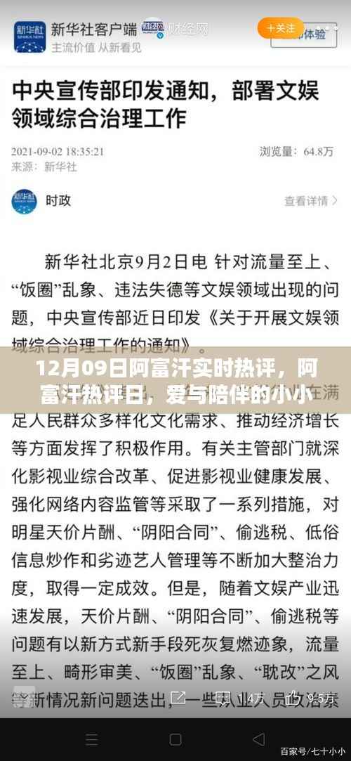 12月09日阿富汗实时热评,爱与陪伴的小小奇迹在阿富汗热评日展现