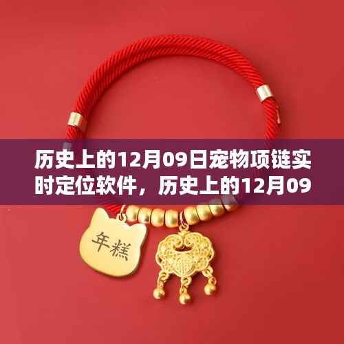 历史上的12月09日,宠物项链实时定位软件深度评测与介绍